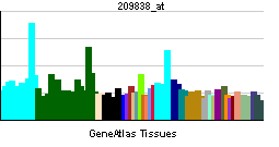 PBB GE COPS2 209838 at tn.png