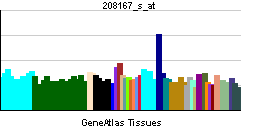 PBB GE MMP16 208167 s at tn.png