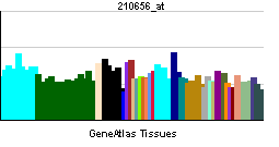 PBB GE EED 210656 at tn.png