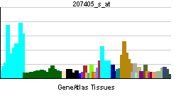 PBB GE RAD17 207405 s at tn.png