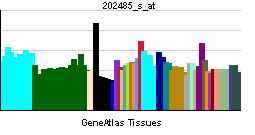 PBB GE MBD2 202485 s at tn.png