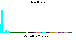 PBB GE CCR1 205099 s at tn.png