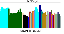 PBB GE FSCN2 207204 at tn.png