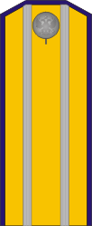 White Army OF-5 - Kuren Regiment (Taras Shevchenko) 1918-1919.png