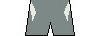 Kit shorts verona2526t.png