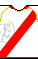 Форма