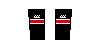 Kit socks Sanixsocksb.png