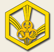 Петличный знак Войск РХБЗ России