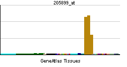 PBB GE CCNA1 205899 at tn.png