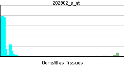 PBB GE CTSS 202902 s at tn.png