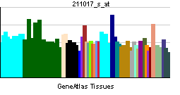 PBB GE NF2 211017 s at tn.png