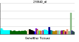 PBB GE TNFSF11 210643 at tn.png