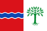 Флаг