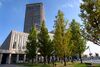 Kajo Central 2006 Autumn.jpg