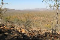 Overlooking Mokolodi Nature Reserve.jpg