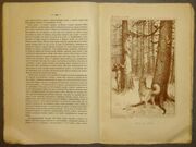 Priroda i okhota ezhemesjachnyj illjustrirovannyj zhurnal 1878 g s 1 r (2).jpg