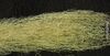 Ramalina thrausta rotated.jpg