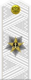 Russia-Navy-OF-9-1994-white.svg