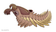 20191021 Peytoia nathorsti Laggania cambria.png