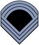 Confederate States of America Sergeant Major-Infantry.jpg