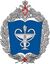 Kirov Military Medical Academy large emblem.jpg