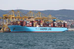Trieste Maersk Hidalgo 1.jpg