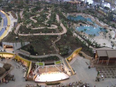 Вид сверху. 2008 г.