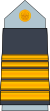 13. AAF-LTC.svg