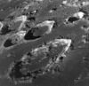 As8-13-2225.jpg
