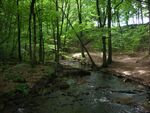 Gässlösa naturreservat 1.jpg