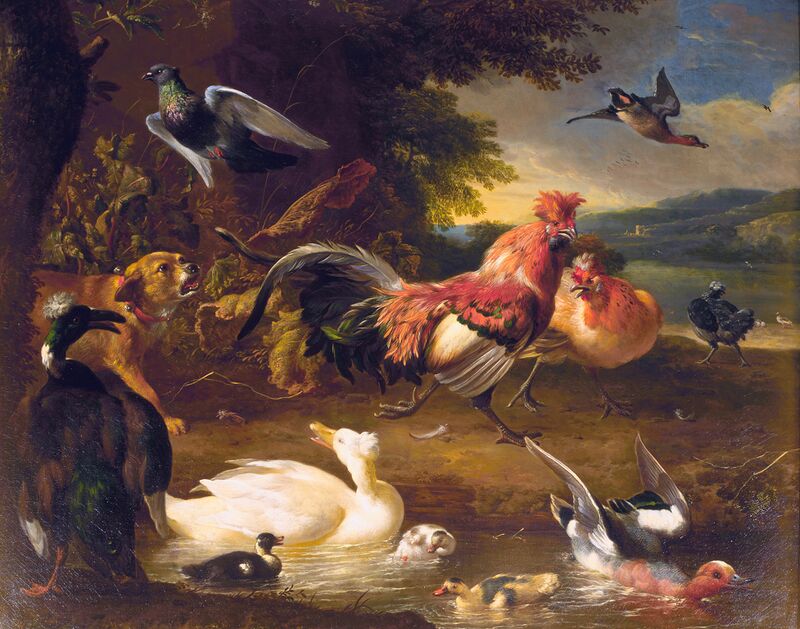 Melchior d'Hondecoeter 002.jpg