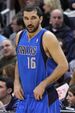Peja Stojakovic Mavs cropped.jpg