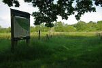 Sawbridgeworth Marsh - geograph.org.uk - 1307690.jpg