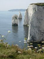 The Pinnacles - geograph.org.uk - 7252.jpg