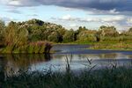 Wetland Centre Lagoon.jpg