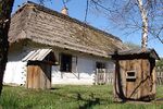 Wiosna 1.jpg