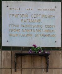 Полтава вулиця Кагамлика (дошка).jpg