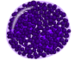 Basophil.png