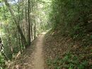 Meigs Mountain Trail - GSMNP.jpg
