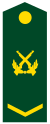 PLA Sergeant.svg