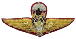 RTA Basic Parachutist Badge.png