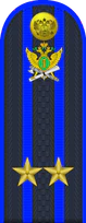 14.погон ФССП - подполковник.png