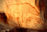 20,000 Year Old Cave Paintings Hyena.png