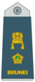 Brunei-airforce-new 12.png