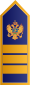 CGDirektor policije.svg