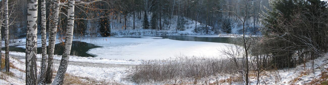 Панорама пруда в Ботсаду