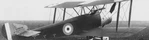 Sopwith Strutter.jpg