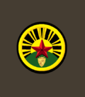 ГПУ 1919танки1.png