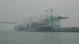 Evergreen San Pedro terminal.jpg