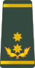 Georgia-Army-OF-7.svg